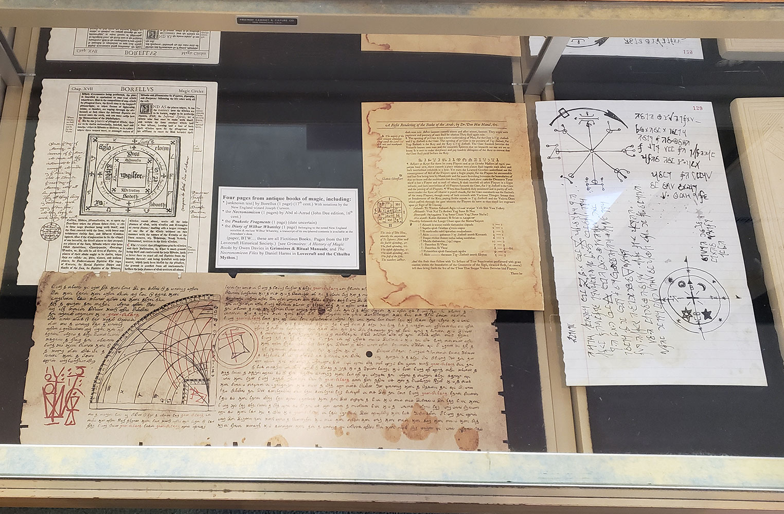 HPLHS prop documents on display at the Adocentyn Library